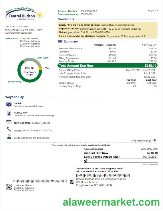 USA NEW YORK CENTRAL HUDSON utility bill Word and PDF template
